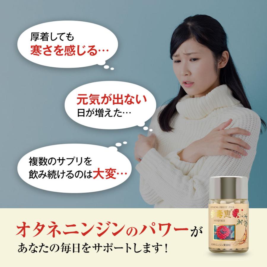 高麗人参 オタネニンジン果実入り サプリメント オタネニンジン果実粒