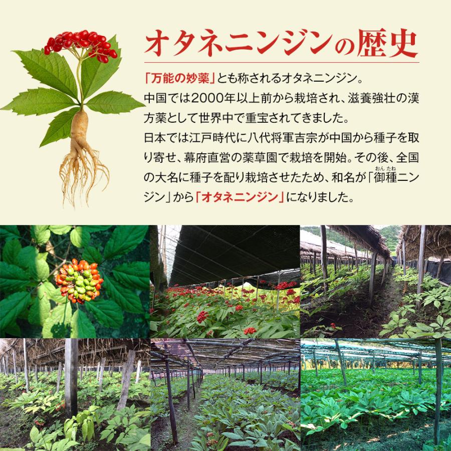 【YOUBE】 〈ネット決済・配送可〉　国産オタネニンジンの果実から作られた貴重なサプリです 高麗人参子 オタネニンジン果実 60粒入り(30日分) オタネニンジン 朝鮮