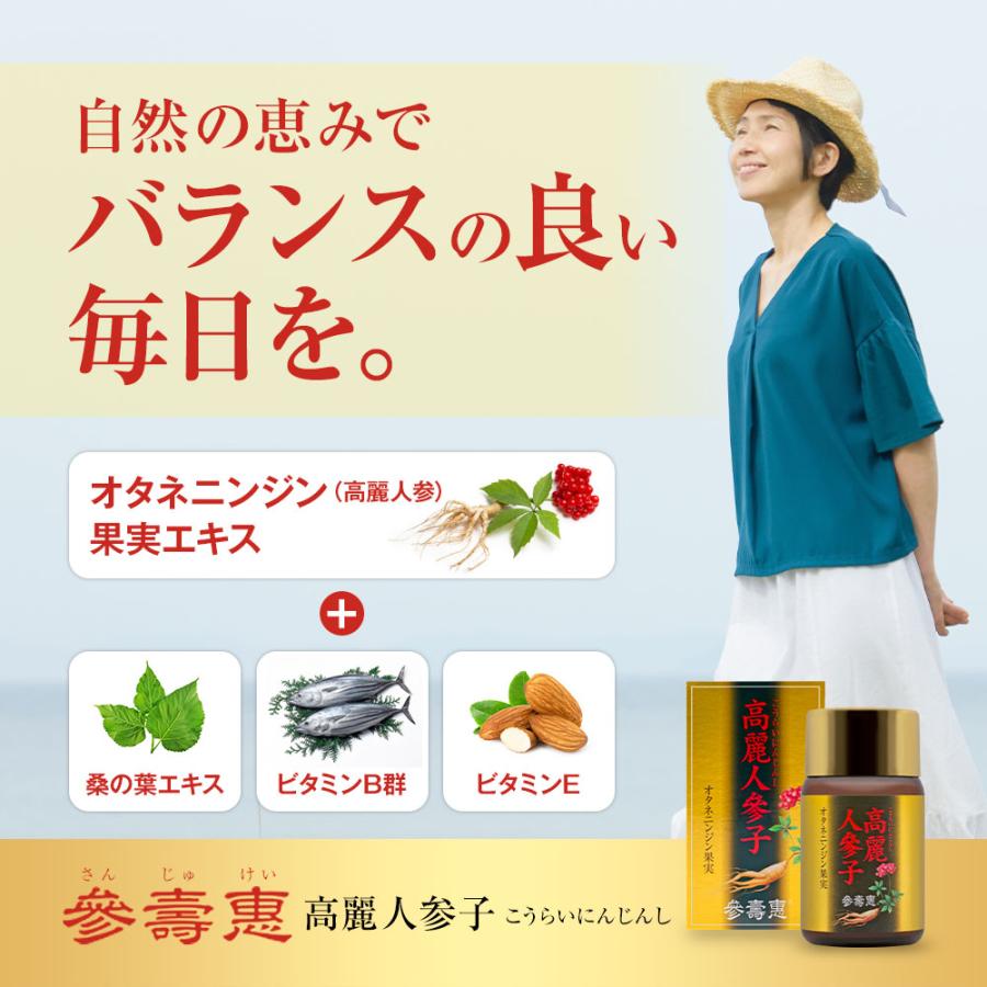 高麗人参 オタネニンジン果実入り サプリメント 高麗人参子 桑の葉