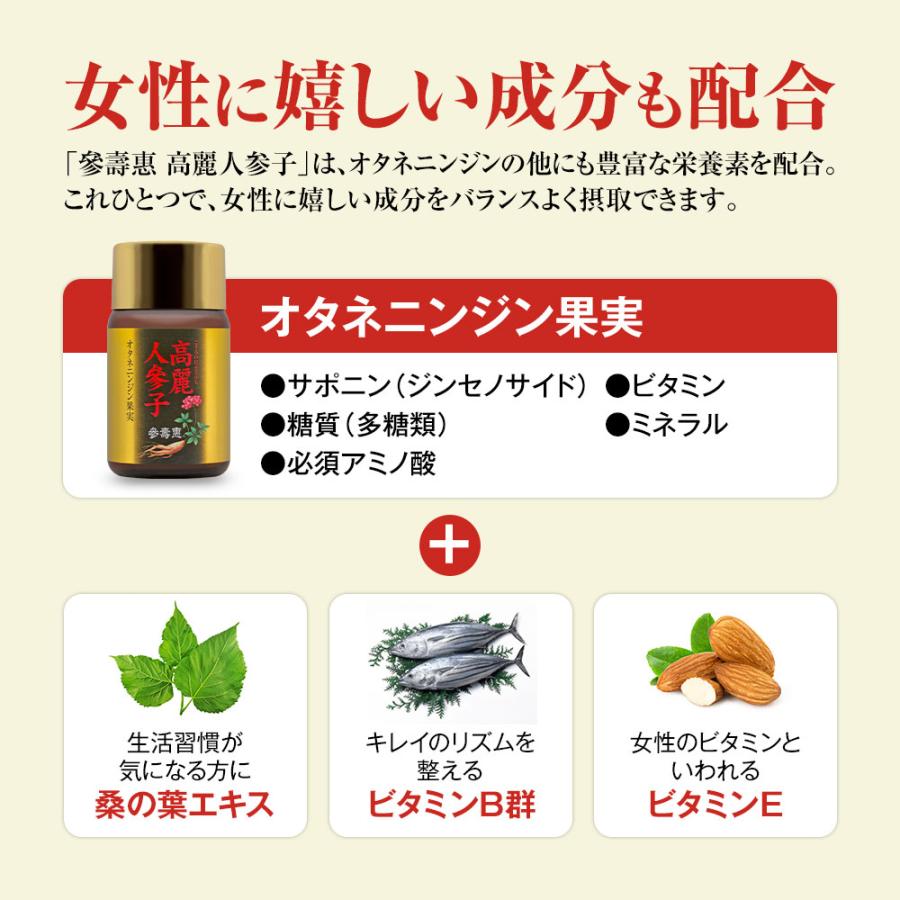 高麗人参 オタネニンジン果実入り サプリメント 高麗人参子 桑の葉