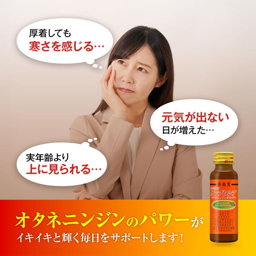 高麗人参 オタネニンジン果実入り プレミアムサンブロシア 高麗人参 オタネニンジン果実入り プレミアムサンブロシア