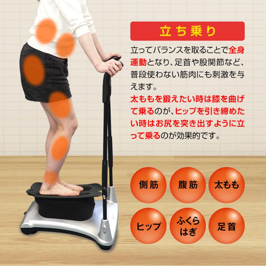 ライフフィット トレーナー モーグル Fit004 振動マシン 2way 8の字