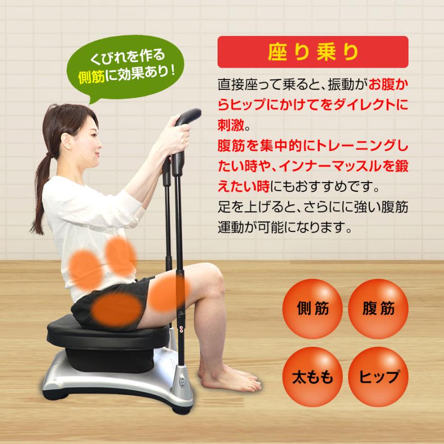 ライフフィット トレーナー モーグル Fit004 振動マシン 2way 8の字