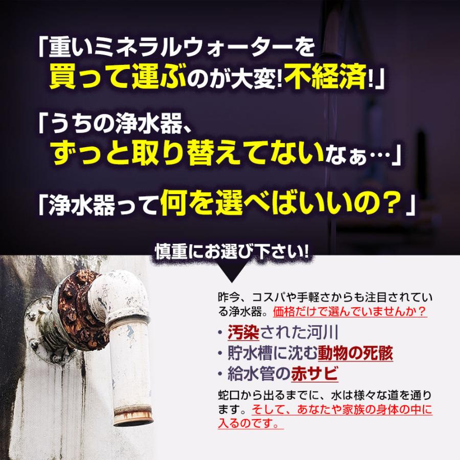 時間指定不可 0 1ミクロン高除去 浄水器 アクセンチュリー ゼンケン 正規品 温水対応 日本製 プラスmfh 11k本体 公式 Www Evergreenweb De