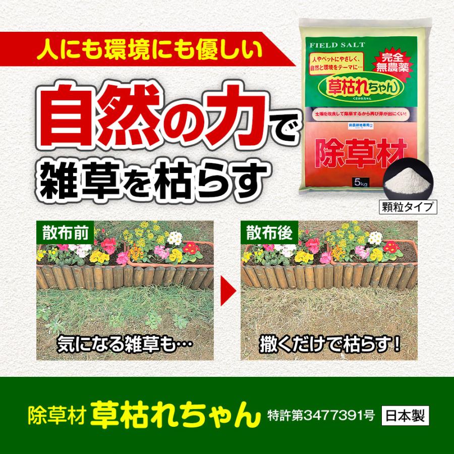 5kg】雑草 除草剤 草枯れちゃん 顆粒 無農薬 非農耕地用 最長10か月