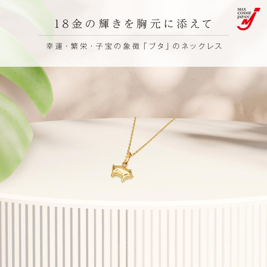 NASTYDOG ゴールドメッキ ネックレス ケース付き ND Gold Necklace | NastyDog OnlineStore