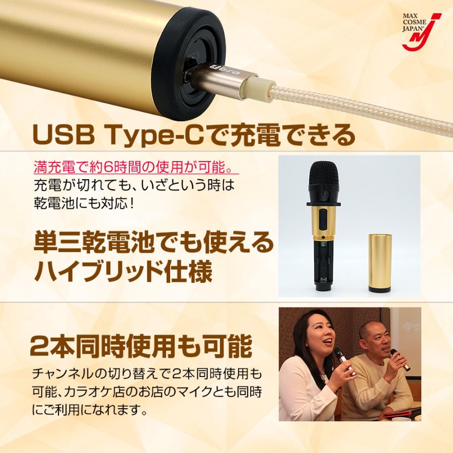 COLUMBIA CVK-300 ホームカラオケ マイク1本付き！ 送料無料！ 楽天市場】ペンタトニック カラオケマイク GTM-300 シャンパンロゼ