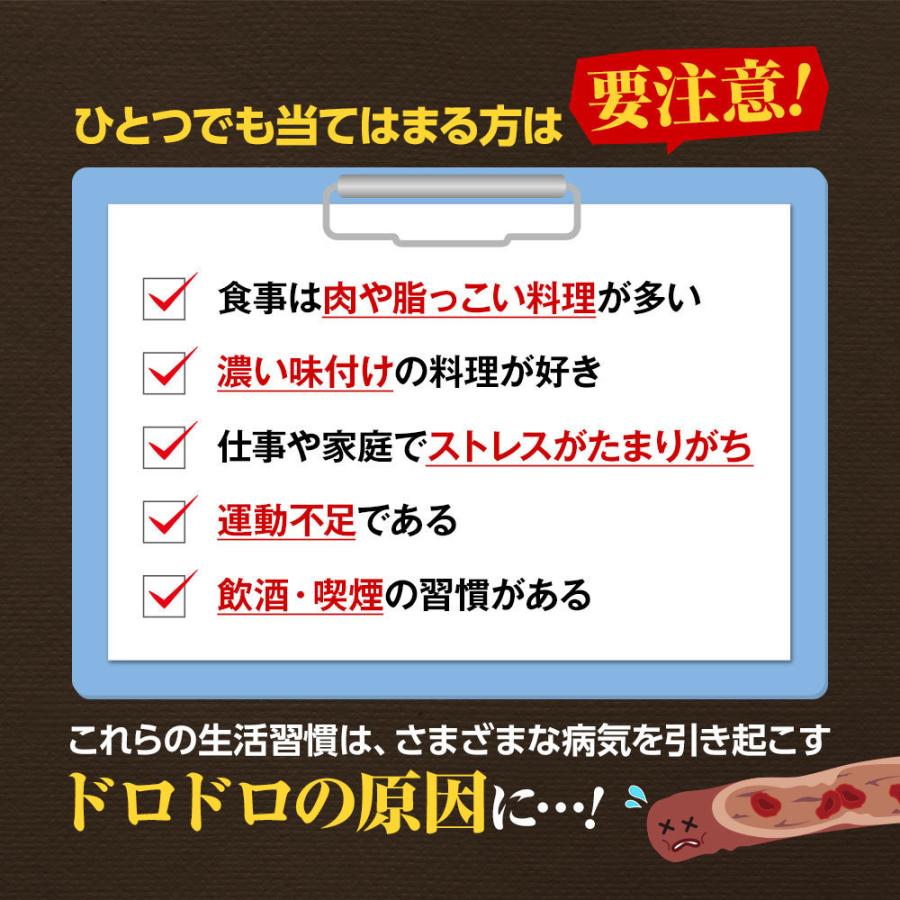 ナットウキナーゼ2000FU配合 ビタミンK2除去済 納豆博士 90粒 正規品