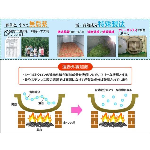 済陽式 健康野菜酵素ジュース 万葉効草EX30包 正規品 西台クリニック