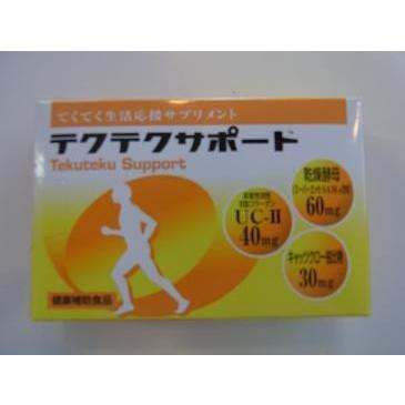送料無料　12個セット　宅配便発送　テクテクサポート　24カプセル×12　てくてくさぽーと　非変性２型コラーゲン