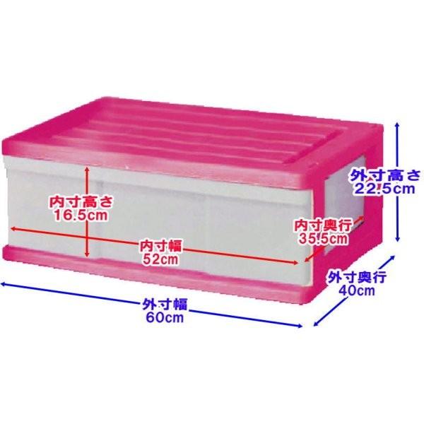 衣装ケース 収納ボックス 収納ケース プラスチック 引き出し 衣装ケース 収納ボックス 収納ケース プラスチック 引き出し