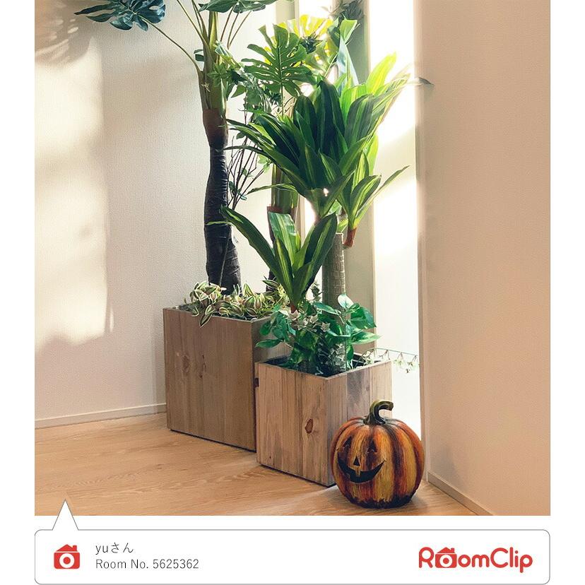 人工観葉植物 2本セット フェイクグリーン 140cm ベンジャミン 光触媒 グリーン 大型 おしゃれ インテリア 枯れない |  | 12