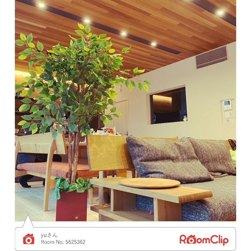 人工観葉植物 2本セット フェイクグリーン 140cm ベンジャミン 光触媒 グリーン 大型 おしゃれ インテリア 枯れない |  | 13