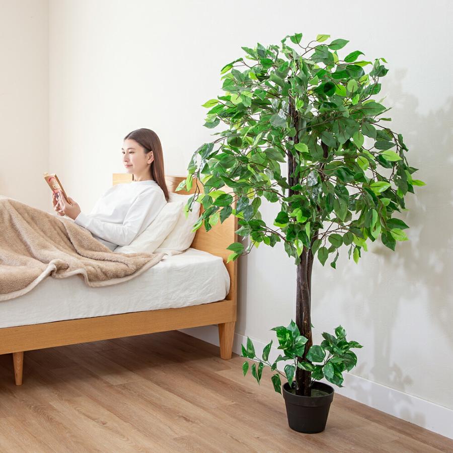 人工観葉植物 2本セット フェイクグリーン 140cm ベンジャミン 光触媒 グリーン 大型 おしゃれ インテリア 枯れない |  | 08