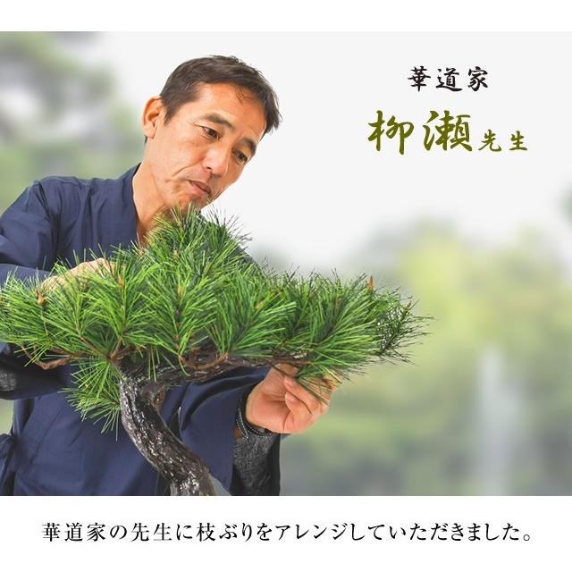 盆栽 松 アレンジ盆栽 富士の松 フェイクグリーン インテリアグリーン 人工観葉植物 造花 |  | 07