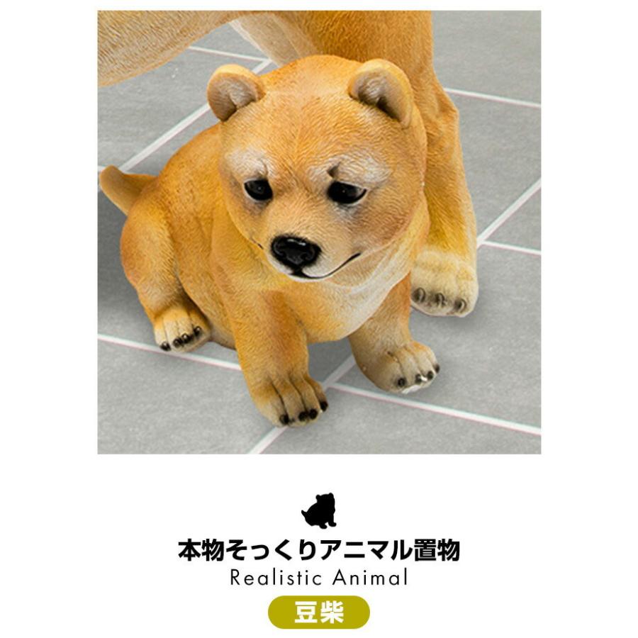 犬の置物 豆柴 こいぬ 本物そっくりアニマル 置物 豆しば まめし 犬の置物 豆柴 こいぬ 本物そっくりアニマル 置物 豆しば まめし