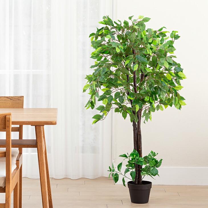 光触媒 人工観葉植物 ベンジャミン フェイクグリーン 大型 インテリアグリーン | 