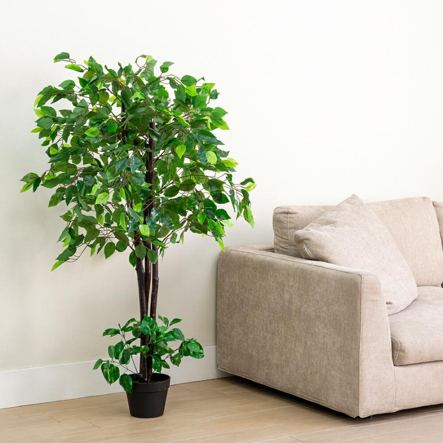 光触媒 人工観葉植物 ベンジャミン フェイクグリーン 大型 インテリアグリーン |  | 03