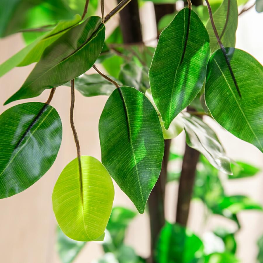 光触媒 人工観葉植物 ベンジャミン フェイクグリーン 大型 インテリアグリーン |  | 06