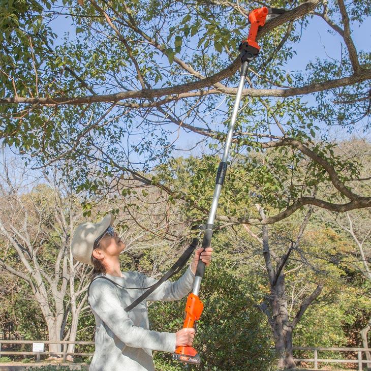 ファミラ NEW充電式コードレス2WAY高枝チェーンソー8点セット |  | 01