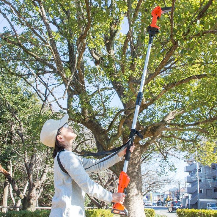 ファミラ NEW充電式コードレス2WAY高枝チェーンソー8点セット |  | 02