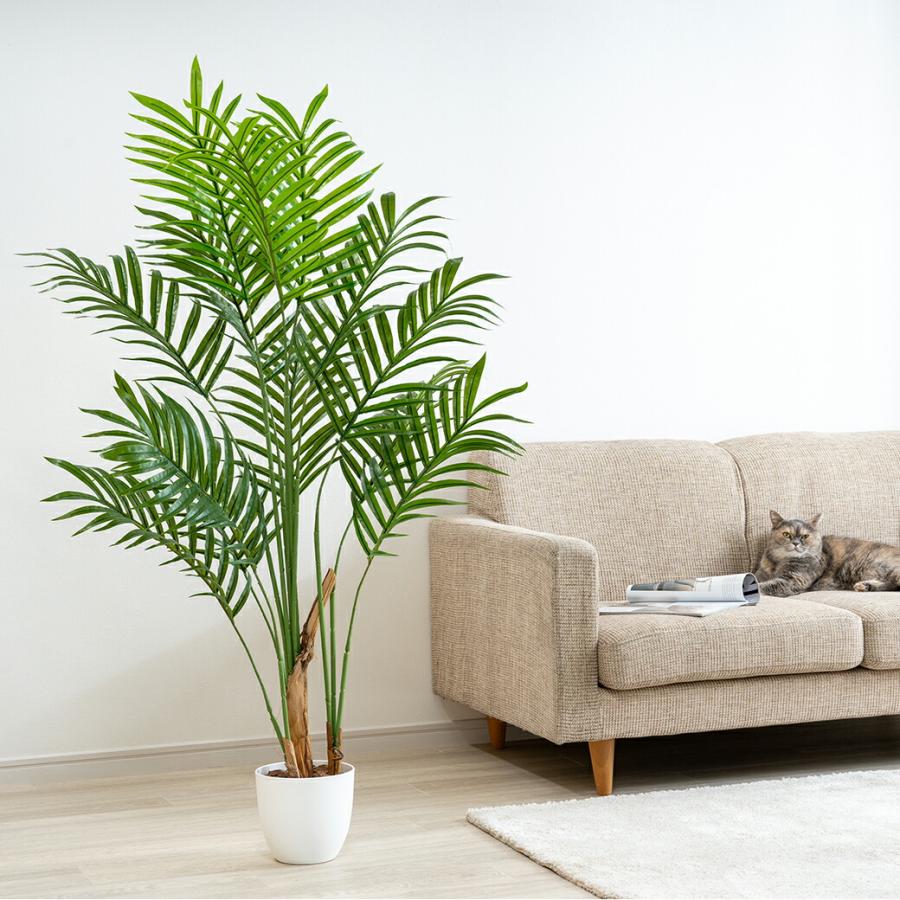 人工観葉植物 アレカヤシ 光触媒 フェイクグリーン 大型 140cm インテリアグリーン お手入れ不要 オフィス リビング 消臭 抗菌 |  | 03
