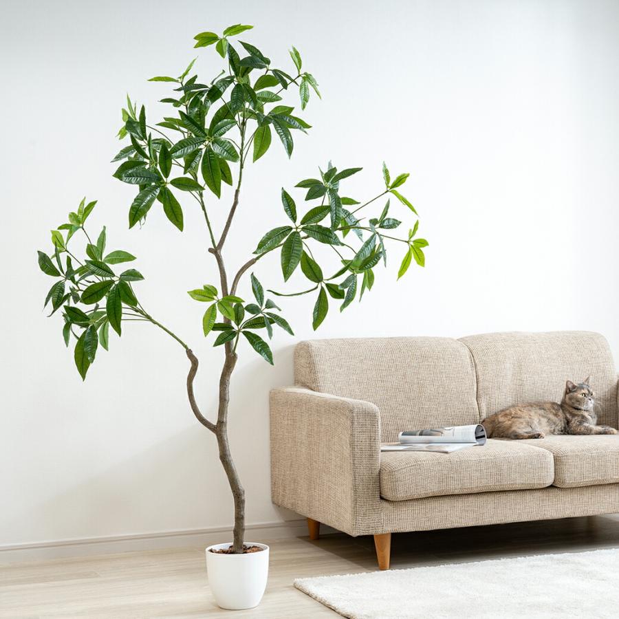 人工観葉植物 パキラ 光触媒 フェイクグリーン 大型 150cm インテリアグリーン お手入れ不要 オフィス リビング 消臭 抗菌 |  | 03