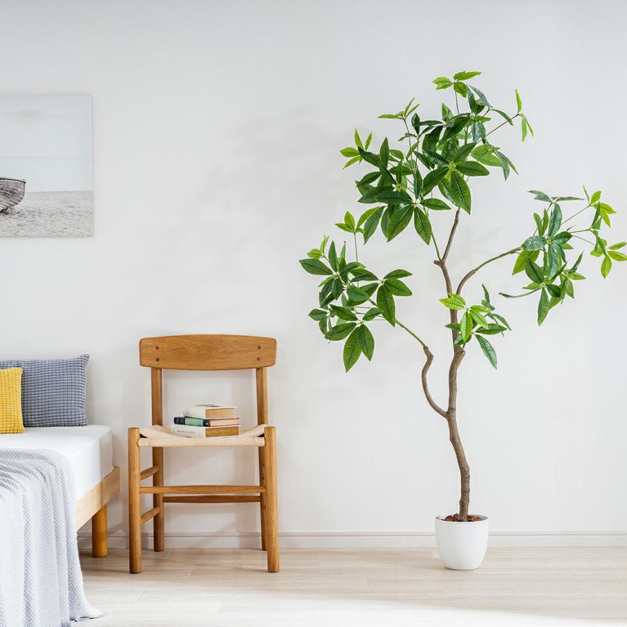 人工観葉植物 パキラ 光触媒 フェイクグリーン 大型 150cm インテリアグリーン お手入れ不要 オフィス リビング 消臭 抗菌 |  | 04