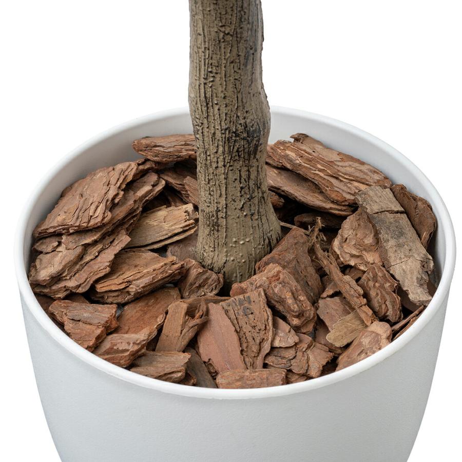 人工観葉植物 パキラ 光触媒 フェイクグリーン 大型 150cm インテリアグリーン お手入れ不要 オフィス リビング 消臭 抗菌 |  | 08