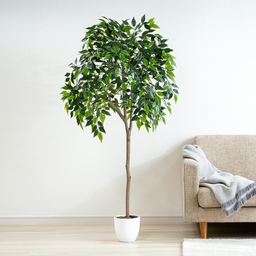 人工観葉植物 ベンジャミン 光触媒 フェイクグリーン 大型 150cm インテリアグリーン お手入れ不要 オフィス リビング 消臭 抗菌 組み立て式 | 
