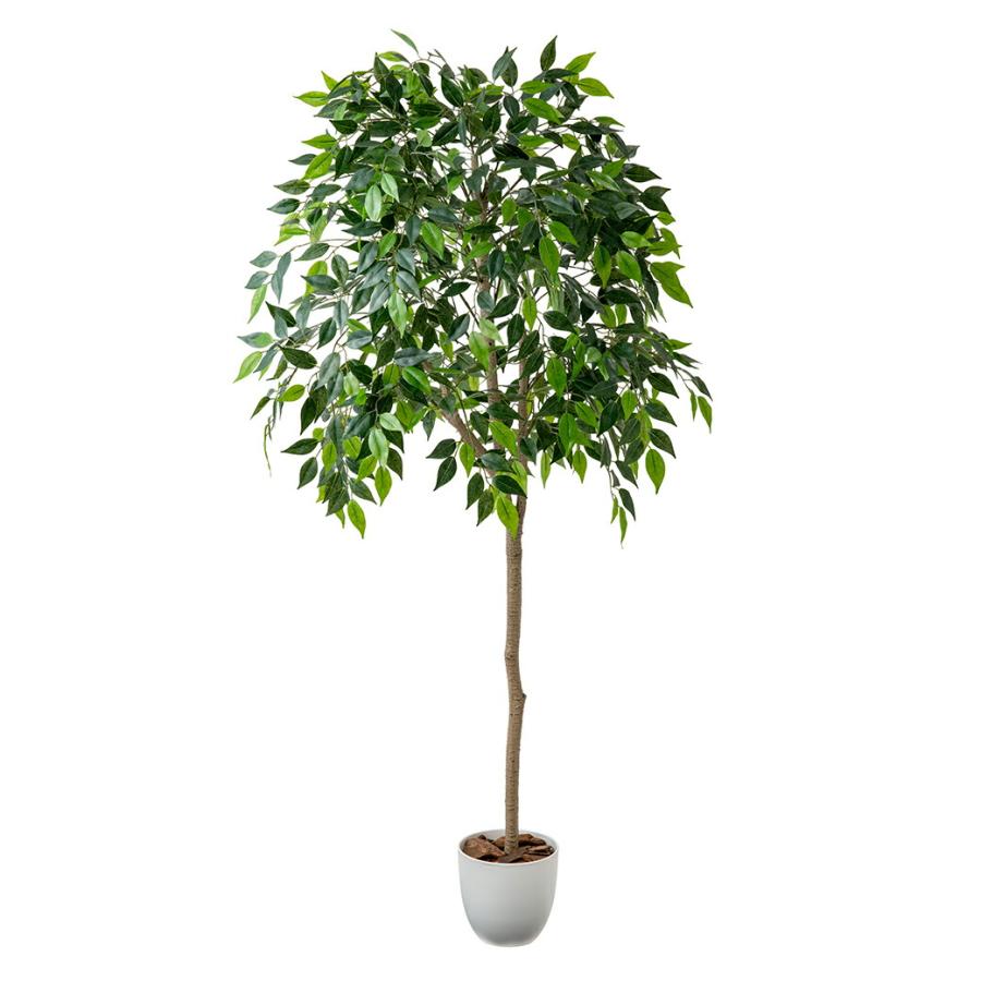 人工観葉植物 ベンジャミン 光触媒 フェイクグリーン 大型 150cm インテリアグリーン お手入れ不要 オフィス リビング 消臭 抗菌 組み立て式 |  | 02