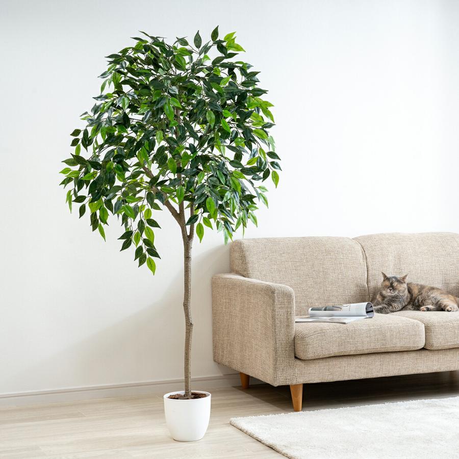 人工観葉植物 ベンジャミン 光触媒 フェイクグリーン 大型 150cm インテリアグリーン お手入れ不要 オフィス リビング 消臭 抗菌 組み立て式 |  | 03