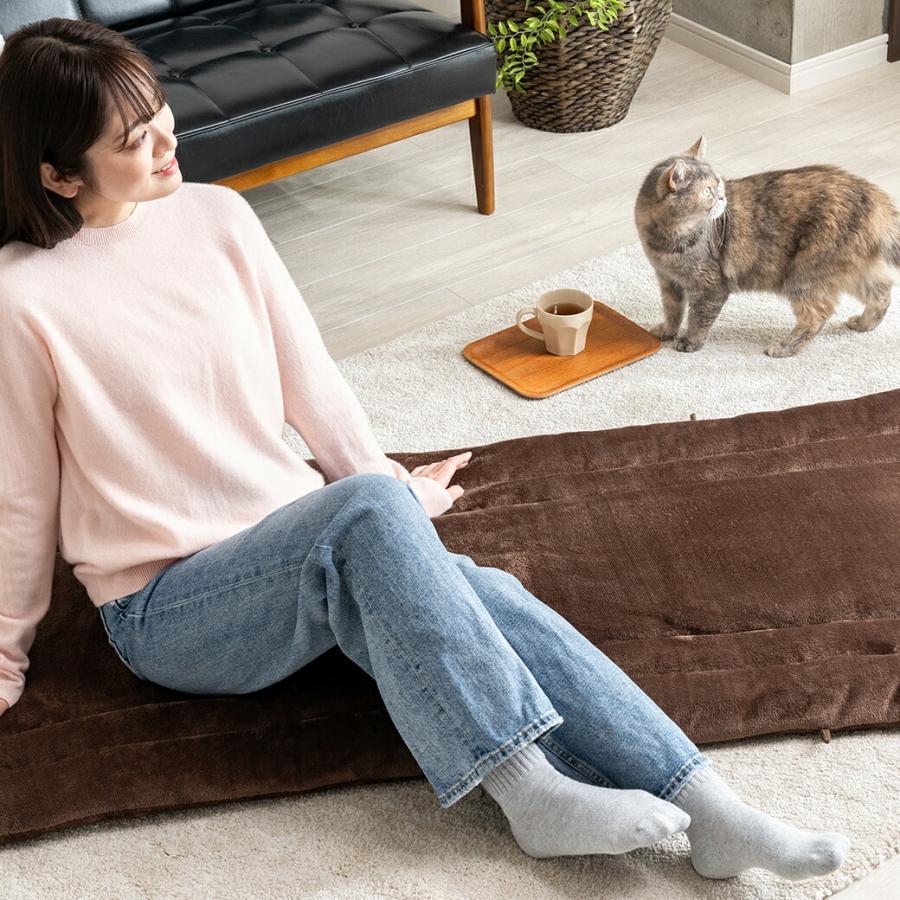 あったかフランネルごろ寝長座布団 2枚組 : マックスレックス - 通販