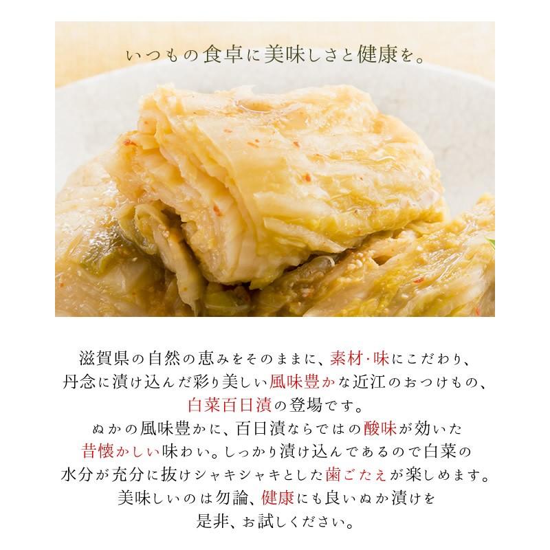 白菜 ぬか漬け 百日漬 10袋セット 2kg 国産 乳酸発酵 熟成 漬物 ぬか漬 伝統製法 滋賀 お取り寄せ ご飯のお供 常備菜 保存食 徳用 まとめ買い |  | 04