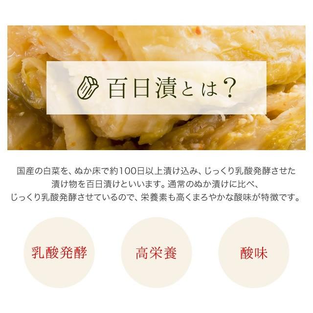 白菜 ぬか漬け 百日漬 10袋セット 2kg 国産 乳酸発酵 熟成 漬物 ぬか漬 伝統製法 滋賀 お取り寄せ ご飯のお供 常備菜 保存食 徳用 まとめ買い |  | 05