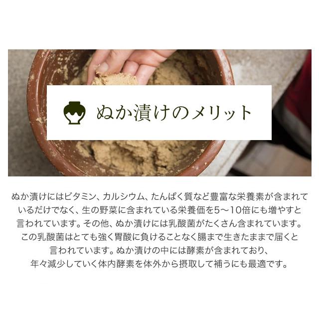 白菜 ぬか漬け 百日漬 10袋セット 2kg 国産 乳酸発酵 熟成 漬物 ぬか漬 伝統製法 滋賀 お取り寄せ ご飯のお供 常備菜 保存食 徳用 まとめ買い |  | 06