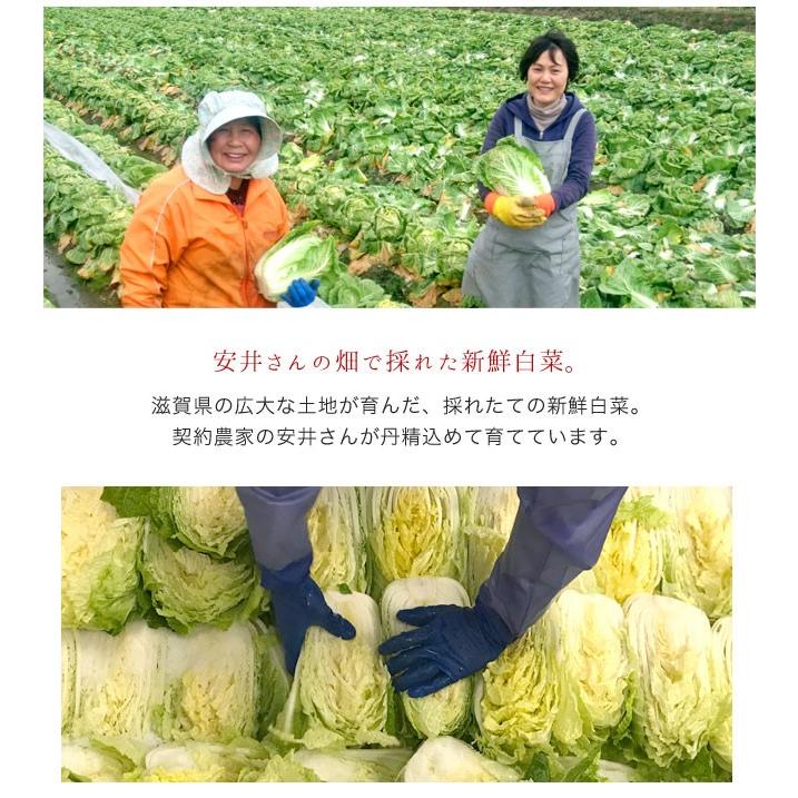 白菜 ぬか漬け 百日漬 10袋セット 2kg 国産 乳酸発酵 熟成 漬物 ぬか漬 伝統製法 滋賀 お取り寄せ ご飯のお供 常備菜 保存食 徳用 まとめ買い |  | 08