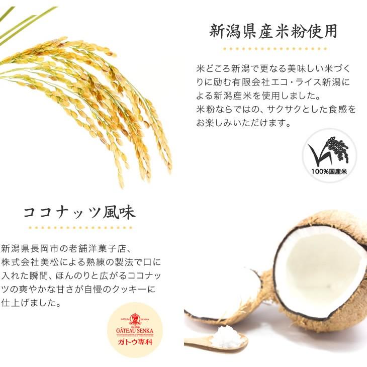 尾西のライスクッキー 8枚入り×8箱 ココナッツ風味 新潟県産米粉使用 米粉クッキー 5年保存 アレルギー対応 小麦不使用 卵不使用 |  | 02