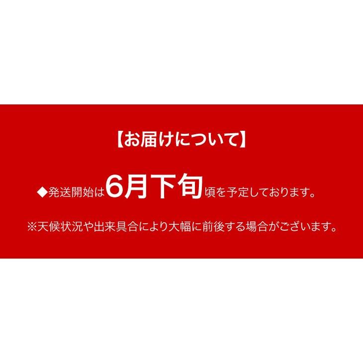 さくらんぼ 佐藤錦 訳あり お徳用 2kg（1kg×2箱） サクランボ フルーツ 果物 山形｜maxlex｜06