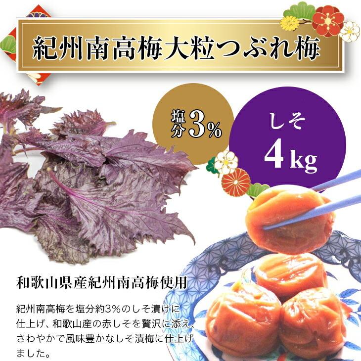 10kg LL 紀州南高梅 訳あり 梅と天日塩だけで漬けた梅干し つぶれ梅 白干 10kg LL 紀州南高梅 訳あり 梅と天日塩だけで漬けた梅干し