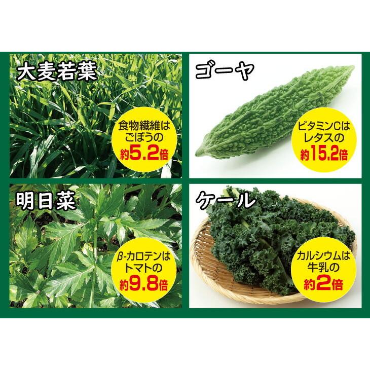 青汁 4種の九州産野菜青汁 100包 |  | 02