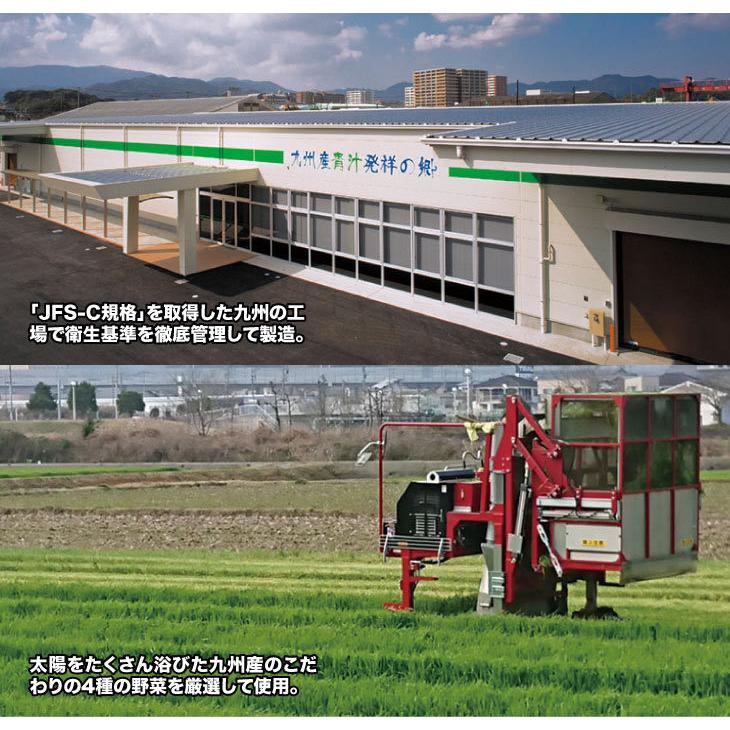 青汁 4種の九州産野菜青汁 200包 |  | 03