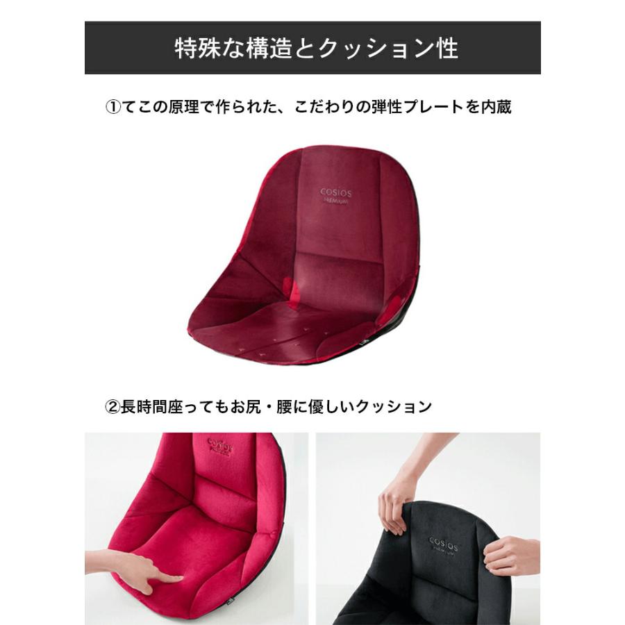 骨盤矯正グッズ 骨盤矯正 クッション 骨盤 ゆがみ 矯正 グッズ サポートクッション ボードクッション cosios premium コシオス プレミアム 男女兼用 |  | 12