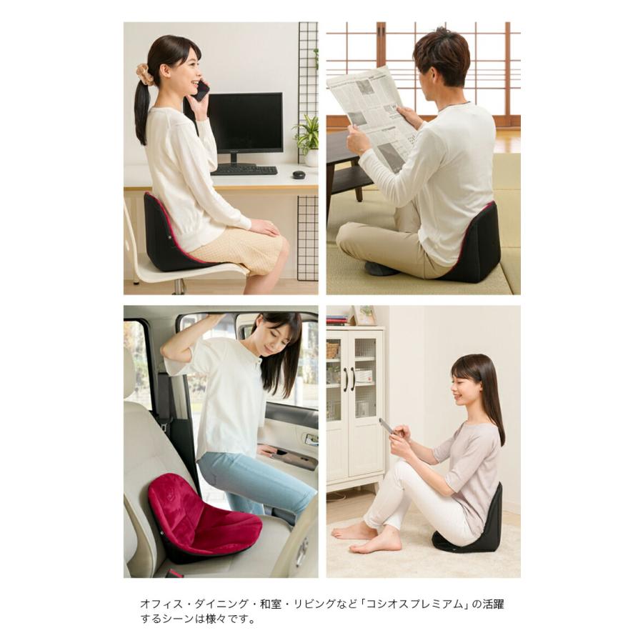 骨盤矯正グッズ 骨盤矯正 クッション 骨盤 ゆがみ 矯正 グッズ サポートクッション ボードクッション cosios premium コシオス プレミアム 男女兼用 |  | 15