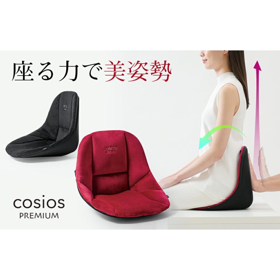 骨盤矯正グッズ 骨盤矯正 クッション 骨盤 ゆがみ 矯正 グッズ サポートクッション ボードクッション cosios premium コシオス プレミアム 男女兼用 |  | 03
