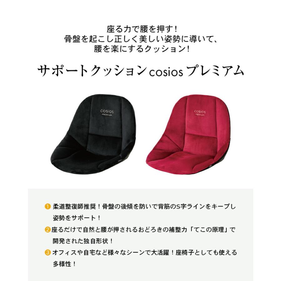 骨盤矯正グッズ 骨盤矯正 クッション 骨盤 ゆがみ 矯正 グッズ サポートクッション ボードクッション cosios premium コシオス プレミアム 男女兼用 |  | 04