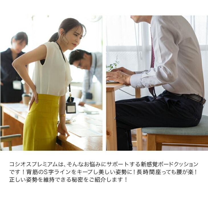 骨盤矯正グッズ 骨盤矯正 クッション 骨盤 ゆがみ 矯正 グッズ サポートクッション ボードクッション cosios premium コシオス プレミアム 男女兼用 |  | 06