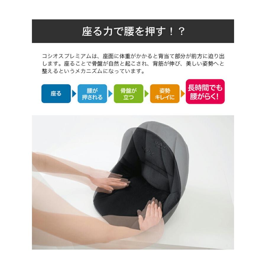 骨盤矯正グッズ 骨盤矯正 クッション 骨盤 ゆがみ 矯正 グッズ サポートクッション ボードクッション cosios premium コシオス プレミアム 男女兼用 |  | 08