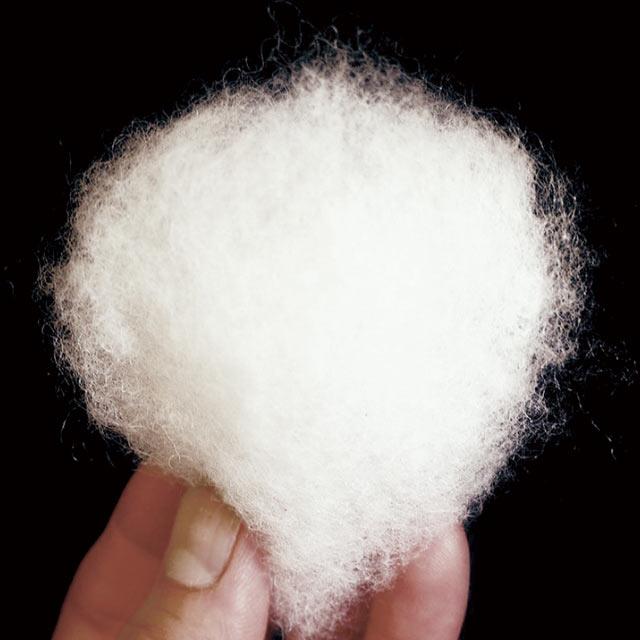 日本製 久留米織 わた入りふっくらはんてん |  | 02