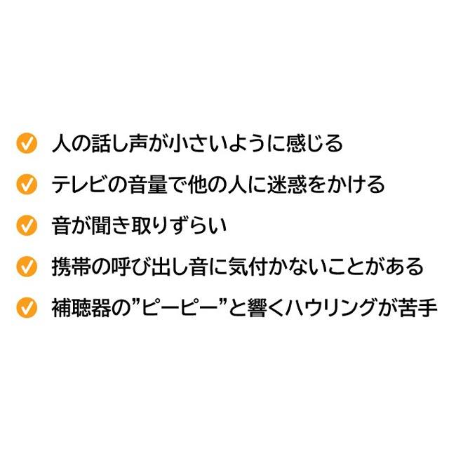 ニコン・エシロール デジタル 耳あな型 補聴器 日本製 1個 安心パック保証付き |  | 06